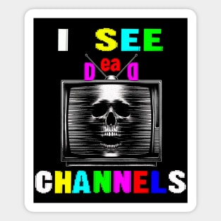 Macabre Vintage Screen TV Skull Magnet